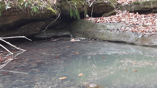 Hoosier National Forest Tell City Ranger District - Thumbnail