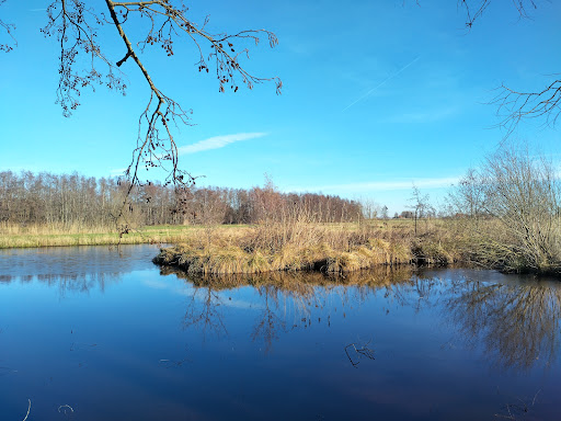 Pietersenpad