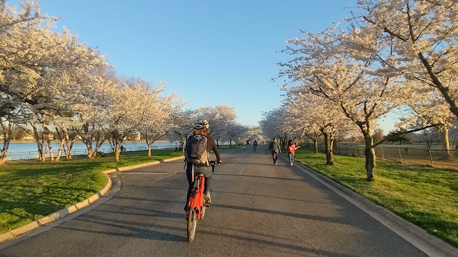 Hains Point by null