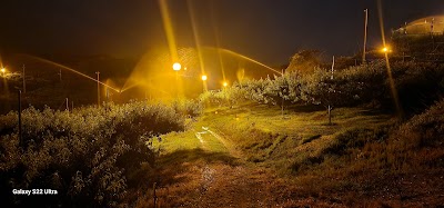 桃里園いまい 白桃直売所
