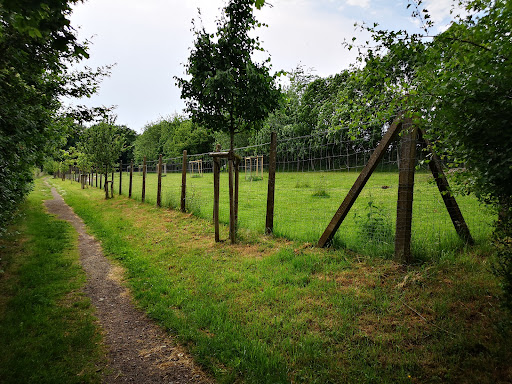 Parkplatz Wildfreigehege Kallenborn
