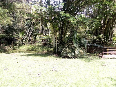 Photos of Botanical Garden