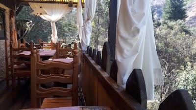 Photos of Altai Oasis Eco lodge