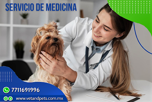 Vet and Pets - Hospital Veterinario Pachuca