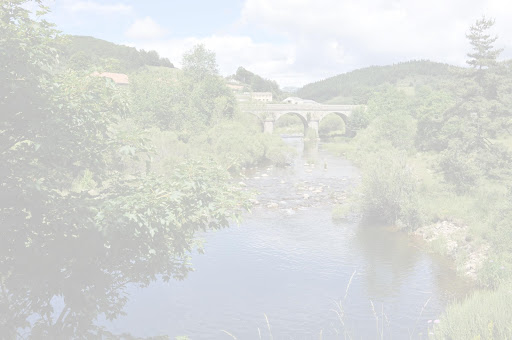 Photo de Pêche à la truite - Les truites d'Andaure à Désaignes (07570)