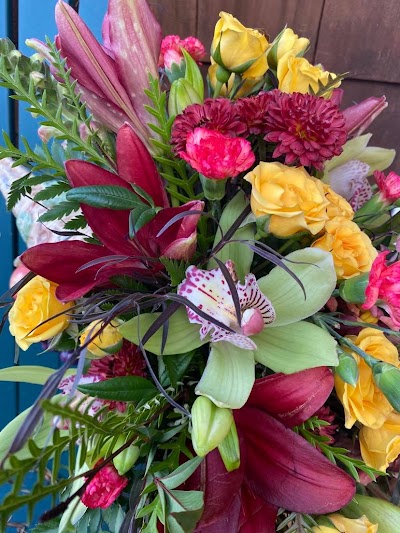 Basketcase - Your Cannon Beach Florist