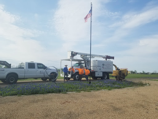 Texas Tree Services - Visual