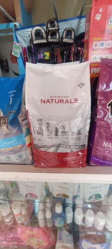 Feed Your Pet - Thumbnail