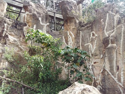 Photos of Washa Mikael Rock Hewn Church