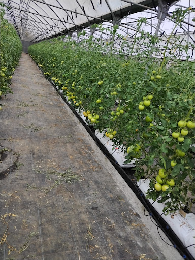 Cultiagro SL - Foto 1