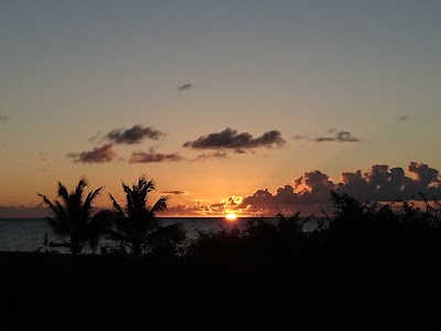 Photos of Coconut Grove