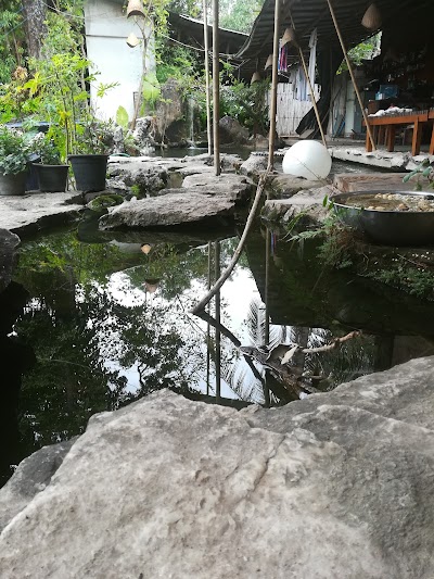 Photos of Japanese Restaurant KYOTO (京都)