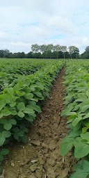 Photo n°5 de La Ferme de Piamot à Genay (Ferme)