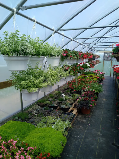 Kilmer's Kountry Greenhouse