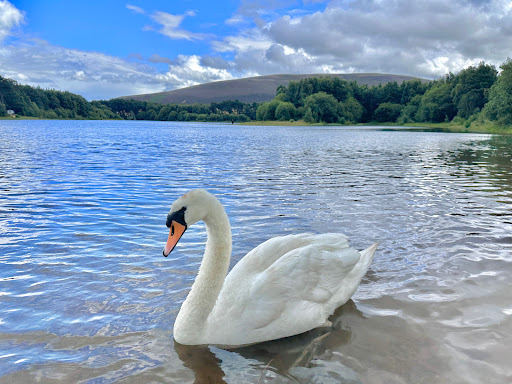 Harlaw Reservoir Car Park - Thumbnail