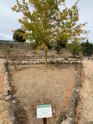 Giardino Botanico del Monte Arci Gallery - Italy