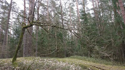 Photos of Kleboni&scaron;kio mi&scaron;ko parkas
