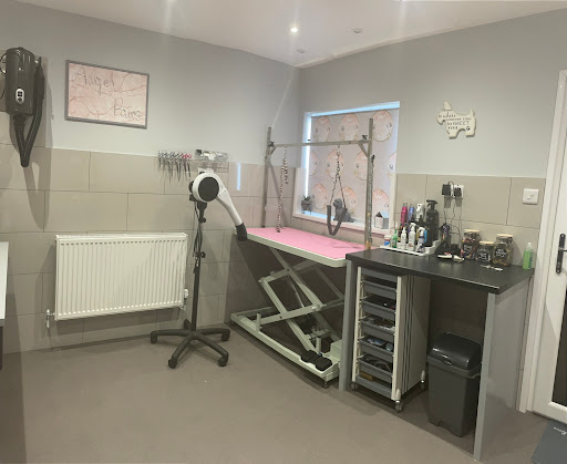 Angel Paws Groom Room