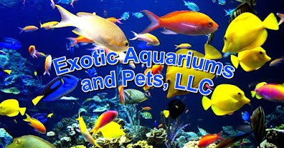 Exotic Aquariums and Pets