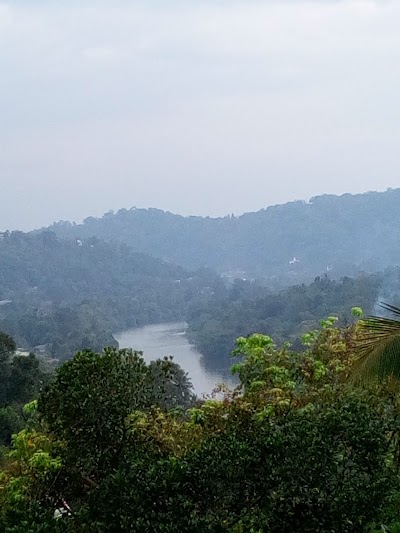 Photos of Suwa Arana Ayurvedic Spa
