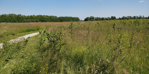 De Groene Dorpsploats