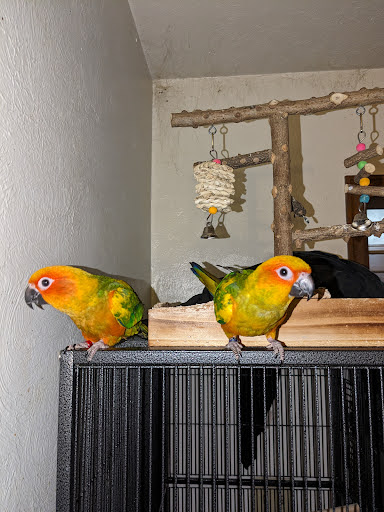 Mile High Parrot Supply