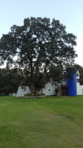 Finca Los Piracantos