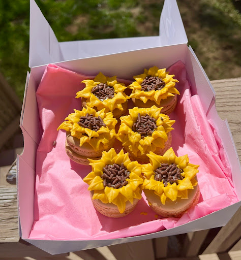 Mick's Macarons - Visual