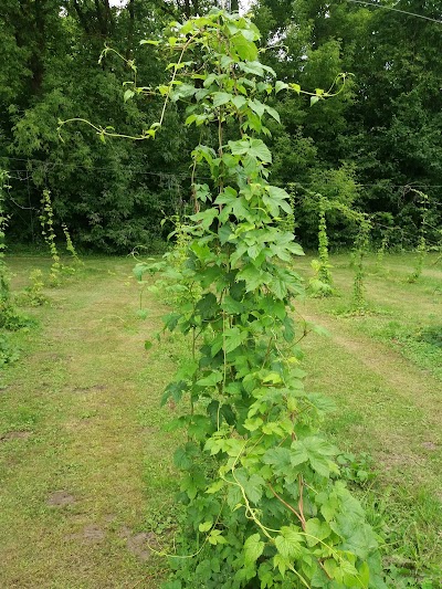 photo of House of Hops