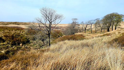 Darwen Moor - Thumbnail