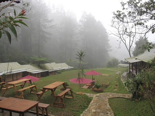 Djungle Private Camp, Author: tiyo wow