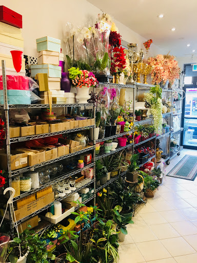 Dream Rose Florist - Thumbnail