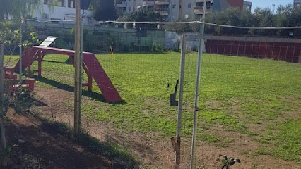 S.I.C. Addestramento/Allevamento Cinofilo di Arcangelo Caressa