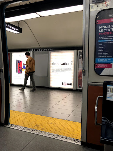 Guy-Concordia - Visual
