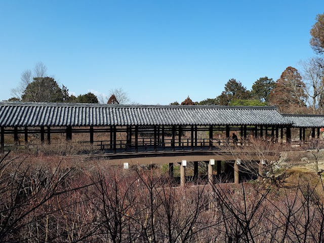 Tofuku-ji temple