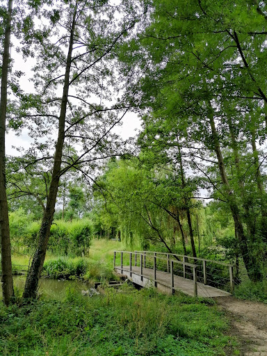 Wilderpark - Visual