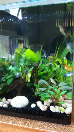 Pisces Group Australia
