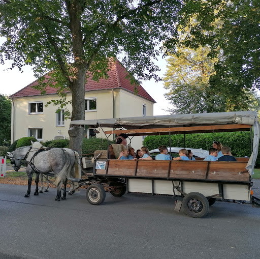Kutschfahrten und Planwagenfahrten-Erwig - Thumbnail