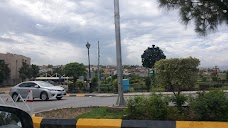 Pigeon cages rawalpindi