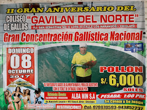 Gallera Gavilan Del Norte 3