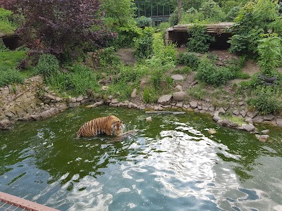 Photos of Zoo Aschersleben