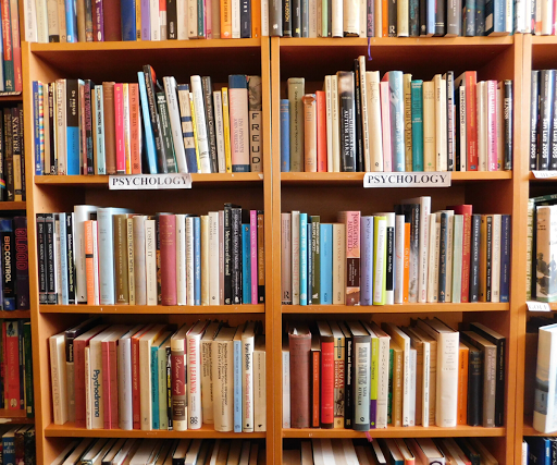 Fireside Bookshop - Thumbnail