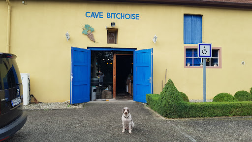 Photo 5 - LE HAZI BITCHE