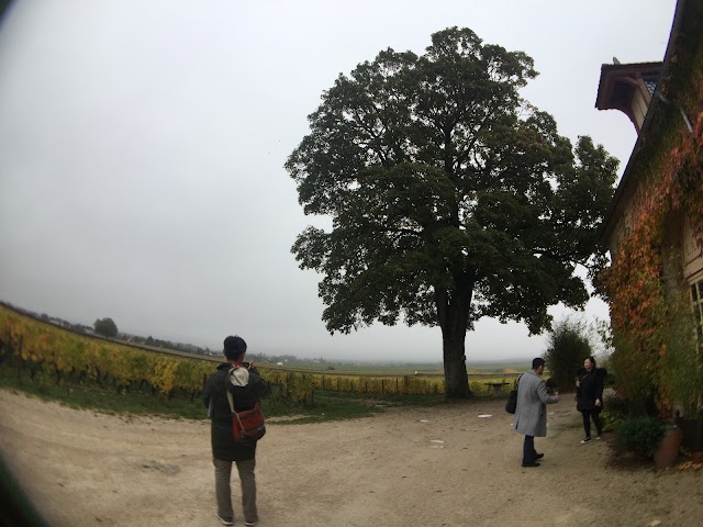 Domaine d'Ardhuy