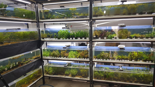 ACUARIUM-MTY