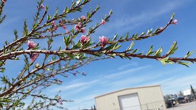 Elephant Butte Lake RV Resort