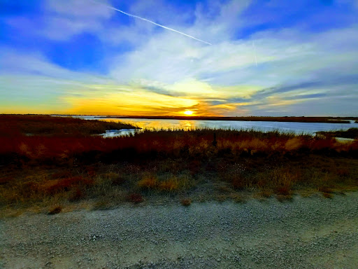 Quivira National Wildlife Refuge - Thumbnail
