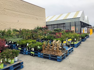 Walmart Garden Center