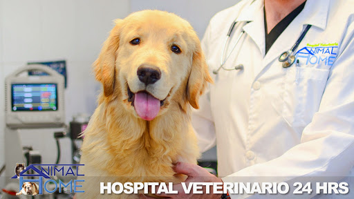 Hospital Veterinario Animal Home Coapa 24 horas