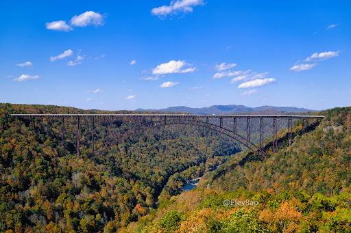 Long Point Overlook
